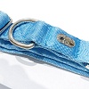 Ошейник для собак с металлической пряжкой, размер S, 15мм/25-36, голубой, KCMC-15.HD/LB, JAPAN PREMIUM PET