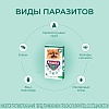 АТАКСА капли от клещей, блох, комаров, власоедов для собак весом  1,5-4кг, 0,4мл, 1 пипетка, КRКА Ataxxa