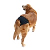 Трусики для собак защитные во время течки, размер XS, обхват талии 20-25см, черные, 23490, TRIXIE