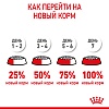 Роял Канин КИТТЕН сухой корм для котят до 12 месяцев,  1,2кг, ROYAL CANIN Kitten