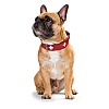 Ошейник для собак Хантер СВИСС 37, 26мм/30-34см, красный/черный, натуральная кожа, 42048, HUNTER Swiss