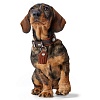 Ошейник для собак ХАНТЕР Коди Комфорт 35, 28мм/25-30см, темно-коричневый/рыжий, натуральная кожа, 65209, HUNTER CODY COMFORT