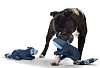 Игрушка для собак ХАНТЕР Скибби Лиса 30см, синяя, хлопок, 61978, HUNTER SKIBBY