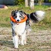 Игрушка для собак ДОГЛАЙК - КОЛЬЦО ВОСЬМИГРАННОЕ, Ø30,5см, оранжевое, D-2611, DOGLIKE Tug&Twist