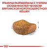 Роял Канин БРИТАНСКАЯ КОРОТКОШЕРСТНАЯ сухой корм для кошек породы британская короткошерстная,  4кг, ROYAL CANIN British Shorthair
