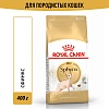 Роял Канин СФИНКС сухой корм для кошек породы Сфинкс,   400г, ROYAL CANIN Sphynx