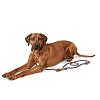 Ошейник для собак ХАНТЕР Занзибар Рантум 2*10мм/60см, нерегулируемый, серый, нейлон, 65649, HUNTER SANSIBAR RANTUM