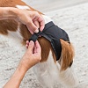 Трусики для собак защитные во время течки, размер XL, обхват талии 60-70см, черные, 23495, TRIXIE