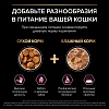 Про План ЭДАЛТ ДЕЛИКАТ сухой корм для кошек с чувствительным пищеварением, с ягненком,  400г, PRO PLAN Adult Delicate Digestion 