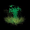 Композиция из искусственных растений, светящаяся в темноте, желтая/бирюзовая, 12см, пластик, 74044221, LAGUNA AQUA