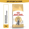 Роял Канин БРИТАНСКАЯ КОРОТКОШЕРСТНАЯ сухой корм для кошек породы британская короткошерстная,  4кг, ROYAL CANIN British Shorthair