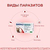 ФИПРИСТ КОМБО препарат от клещей, блох, вшей, власоедов для собак весом  2-10кг, 1 пипетка, КRКА Fiprist Combo