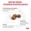Роял Канин ГАСТРОИНТЕСТИНАЛ ЛОУ ФЭТ СМОЛ ДОГ лечебный сухой корм для собак мелких пород, 1кг, ROYAL CANIN Gastrointestinal Low Fat Small Dog