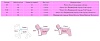 Комбинезон для собак КОСТОЧКА в ассортименте, мех, 261/262 PA-OW, PUPPY ANGEL