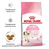 Роял Канин КИТТЕН сухой корм для котят до 12 месяцев,   300г, ROYAL CANIN Kitten