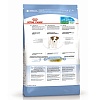 Роял Канин МИНИ ПАППИ сухой корм для щенков мелких пород,  800г, ROYAL CANIN Mini Puppy