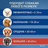 ФРОНТЛАЙН СПОТ ОН для собак весом 40-60кг, капли на холку от блох, клещей, власоедов и вшей, 1 пипетка 4,02мл, Frontline Spot On, Merial, Boehringer Ingelheim