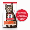 Хиллс ЭДАЛТ сухой корм для кошек для поддержания жизненной энергии и иммунитета, с ягненком, 3кг, Hill's Adult Lamb