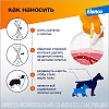 АДВОКАТ капли на холку от блох, чесоточных клещей и круглых гельминтов для собак от 1 до 4кг, 3 пипетки, ELANCO Advocate