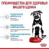 Роял Канин МАКСИ ПАППИ сухой корм для щенков крупных пород,  3кг, ROYAL CANIN Maxi Puppy