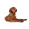 Ошейник для собак ХАНТЕР Люка 60, 34мм/42-52см, рыжий/горчичный, натуральная кожа наппа, 66742, HUNTER LUCCA