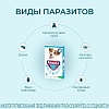АТАКСА капли от клещей, блох, комаров, власоедов для собак весом  4-10кг, 1мл, 1 пипетка, КRКА Ataxxa
