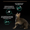 Про План СТЕРИЛАЙЗД РЕНАЛ ПЛЮС сухой корм для стерилизованных кошек с поддержкой функции почек, с лососем,  1,5кг, PRO PLAN Sterilised Renal Plus 