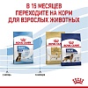 Роял Канин МАКСИ ПАППИ сухой корм для щенков крупных пород,  3кг, ROYAL CANIN Maxi Puppy