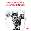 Роял Канин СЕНСИТИВИТИ лечебный влажный корм для кошек, кусочки в соусе с курицей и рисом, 85г, ROYAL CANIN Sensitivity Control 
