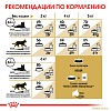 Роял Канин СФИНКС сухой корм для кошек породы Сфинкс,   400г, ROYAL CANIN Sphynx