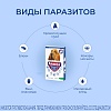 АТАКСА капли от клещей, блох, комаров, власоедов для собак весом 25-40кг, 4мл, 1 пипетка, КRКА Ataxxa