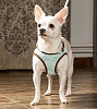 Шлейка-жилетка для собак НАПОЛЕОНОВСКИЙ АМПИР, размер SM, обхват груди 40-50см, ментол, MZSH-SM.WG/MT, EARTH PET