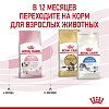 Роял Канин КИТТЕН сухой корм для котят до 12 месяцев,   300г, ROYAL CANIN Kitten