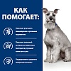 Хиллс I/D ЛОУ ФЭТ лечебный сухой корм для собак при расстройствах пищеварения, с низким содержанием жира, 12кг, HILL'S Prescription Diet I/D Low Fat