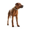Ошейник для собак ХАНТЕР Спешл Эдишн 55, 28мм/41,5-48,5см, цвет камня, натуральная кожа наппа, 47945, HUNTER SPECIAL EDITION