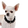 Ошейник для маленькой собачки СТРАСТЬ, ширина 10мм, длина 20см, черный, лаковая экокожа, GN618-20, FOR PETS ONLY Passion 