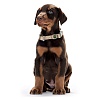 Ошейник для собак Хантер Варио Бэйсик Алю-Стронг, размер XL, 25мм/45-65см, бежевый, нейлон, 46670, HUNTER Vario Basic Alu-Strong