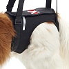 Поддержка задних конечностей для собак, размер M, 161587, KRUUSE Rehab Lifting Harness 