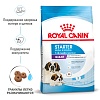 Роял Канин ДЖАЙНТ СТАРТЕР сухой корм для щенков гигантских пород в возрасте до двух месяцев,  4кг, ROYAL CANIN Giant Starter Mother & Babydog