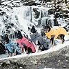 Попона утепленная для собак Хуртта ЭКСПЕДИШН ПАРКА 40, длина спины 40см, объем груди 45-76см, графит, полиэстер, 933693, HURTTA Expedition Parka