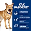 Хиллс I/D ДАЙДЖЕСТИВ КЕА лечебный влажный корм для собак при расстройствах пищеварения, с индейкой, 360г, HILL'S Prescription Diet I/D Digestive Care