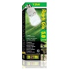 Лампа РЕПТИ ГЛО Компакт 5.0 T10 13W, HAGEN