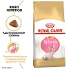 Роял Канин КИТТЕН СФИНКС сухой корм для котят породы Сфинкс в возрасте от 4 до 12 месяцев,  400г, ROYAL CANIN Kitten Sphynx
