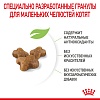Роял Канин КИТТЕН сухой корм для котят до 12 месяцев,  1,2кг, ROYAL CANIN Kitten