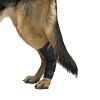 Протектор скакательного сустава собаки, размер XS, для собак весом 7-10кг, 279839, KRUUSE Rehab Hock Protector
