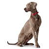 Ошейник для собак ХАНТЕР Люка 55, 34мм/36-46см, красный/серо-голубой, натуральная кожа наппа, 66760, HUNTER LUCCA
