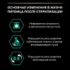 Про План СТЕРИЛАЙЗД влажный корм для стерилизованных кошек, с уткой в соусе, 85г, PRO PLAN Sterilised Maintenance