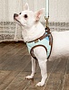 Шлейка-жилетка для собак НАПОЛЕОНОВСКИЙ АМПИР, размер SM, обхват груди 40-50см, ментол, MZSH-SM.WG/MT, EARTH PET