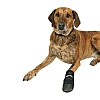Ботинки для собак ВОЛКЕР КЕА, мягкие, размер S (Джек Рассел Терьер), в упаковке 2шт, нейлон, TRIXIE 