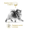 Роял Канин ПОМЕРАНСКИЙ ШПИЦ сухой корм для собак породы Померанский  шпиц,  500г, ROYAL CANIN Pomeranian Adult